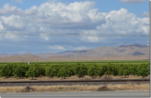 Central Valley orchards