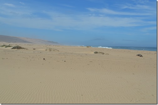 Guadalupe Dunes beach-1