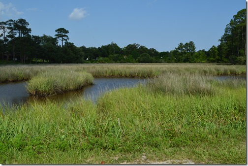 Davis Bayou-2