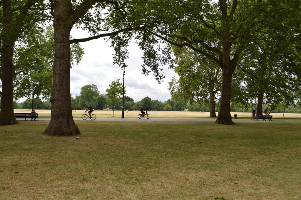 people riding bikes in a park