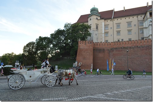 Krakow horse carriage