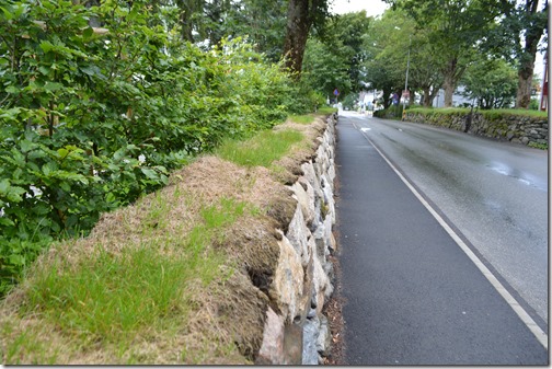 Stavanger stone wall grass