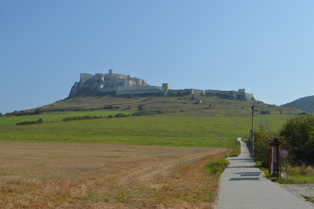 a path leading to a castle