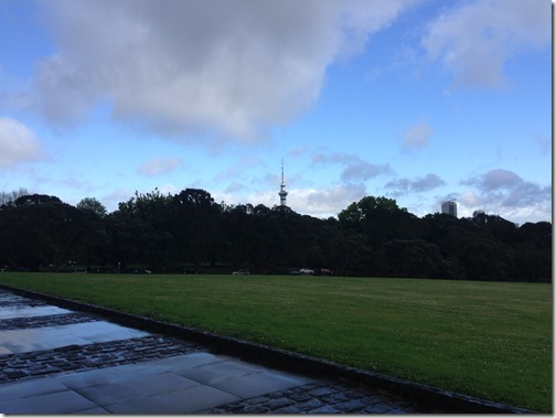 Auckland Domain view