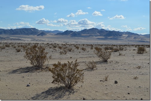 Mojave Desert