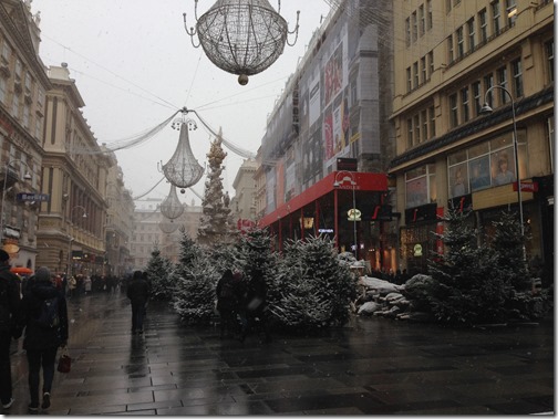 Wien xmas trees