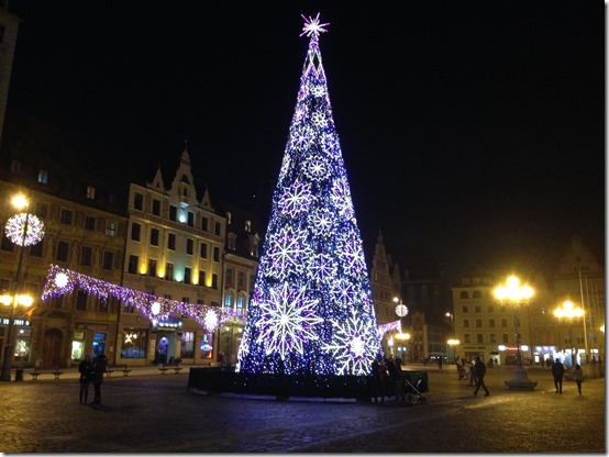 Wroclaw tree-2