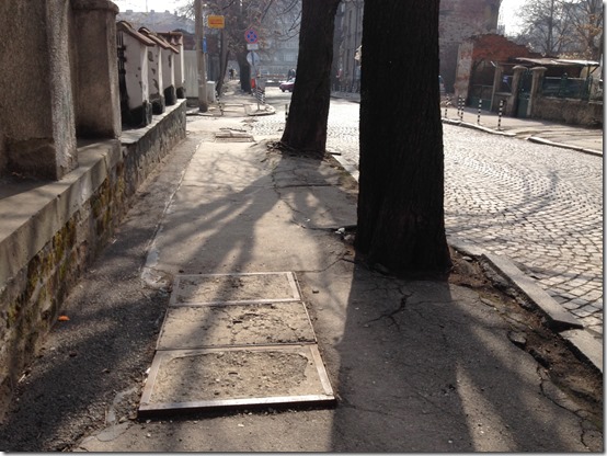 a sidewalk with trees and a sidewalk