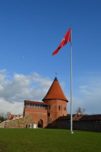 a flag on a flagpole in front of a brick building