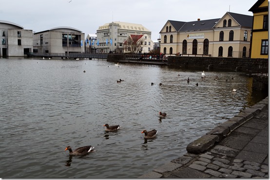 Reykjavik tjornin