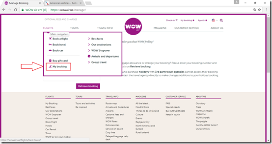 WOW Air check-in