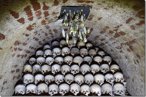 a group of skulls in a room