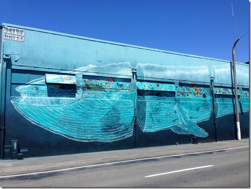 Napier whale mural 1