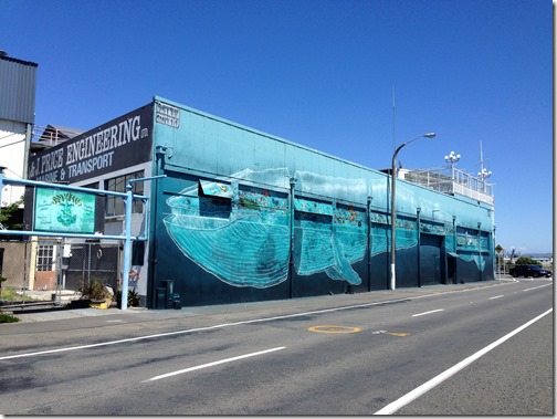 Napier whale mural2