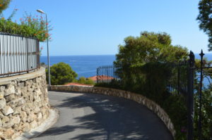 a road with trees and a body of water in the background