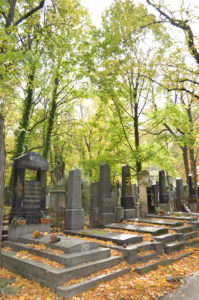a cemetery with many gravestones