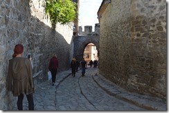 Old Town gate-1
