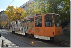 Sofia tiger tram