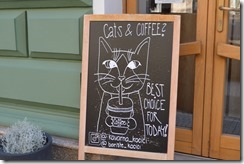 Karlin cat cafe-2
