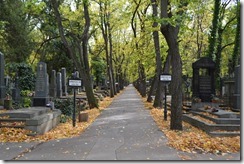 Olšanské hřbitovy-2
