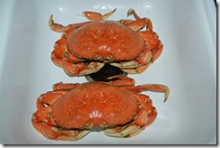 SF Dungeness crab