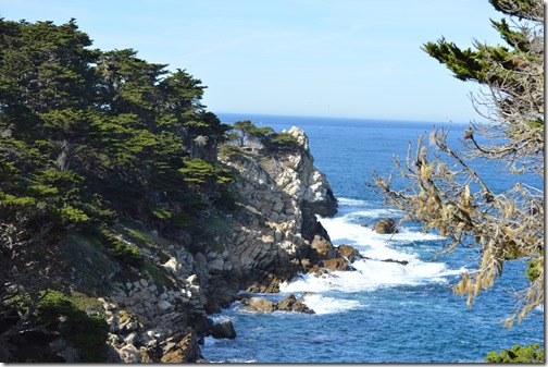 a rocky cliff with trees on the side