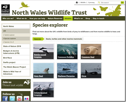 North Wales wildlife
