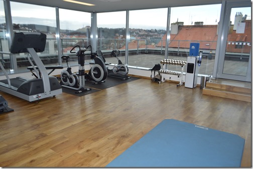 Park Inn gym-2