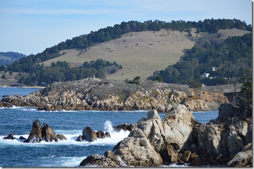 Point Lobos view