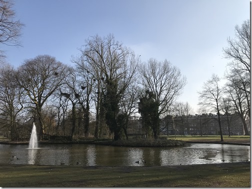 Westerpark grey heron nests