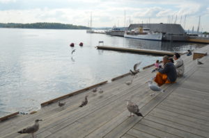 a man sitting on a dock with birds