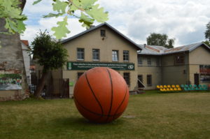 a basketball on the grass