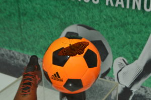 a butterfly on a football ball