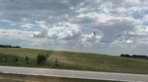 a road with a green field and clouds in the sky