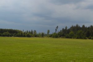 a large green field with trees in the background