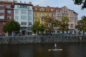 a person on a paddle board in a river