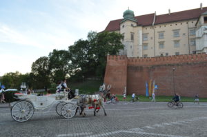 a horse carriage in front of a brick wall