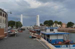 boats on the dock with boats