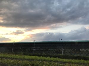 a building with a green roof