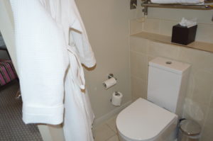 a white robe on a toilet