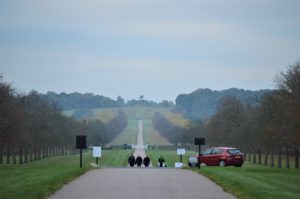 a long shot of a road