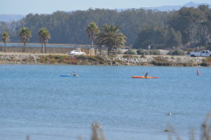 people kayaks in the water