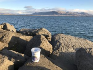 a cup on rocks by water