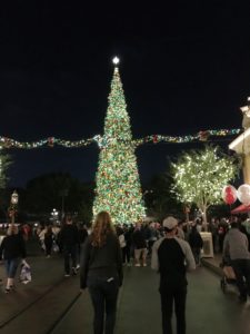 a large christmas tree with lights