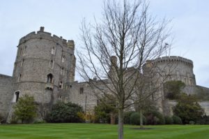 a tree in front of a castle