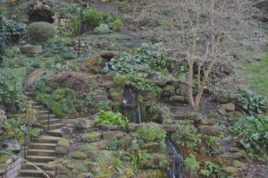 a waterfall in a garden
