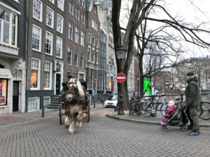 a horse drawn carriage on a street