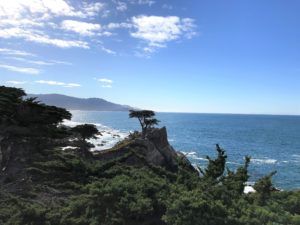 a view of the ocean from a cliff