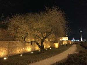 a tree next to a wall