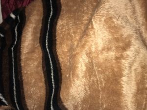 a brown and black blanket
